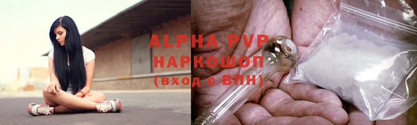 мяу мяу мука Елабуга