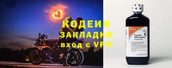 мяу мяу мука Елабуга