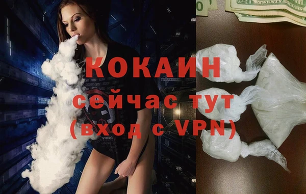 мяу мяу мука Елабуга