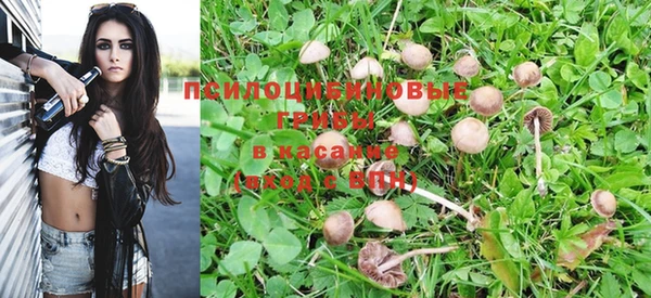 мяу мяу мука Елабуга