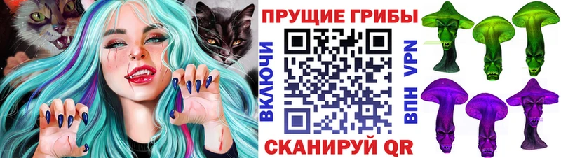 Псилоцибиновые грибы Psilocybe Купить где Сельцо