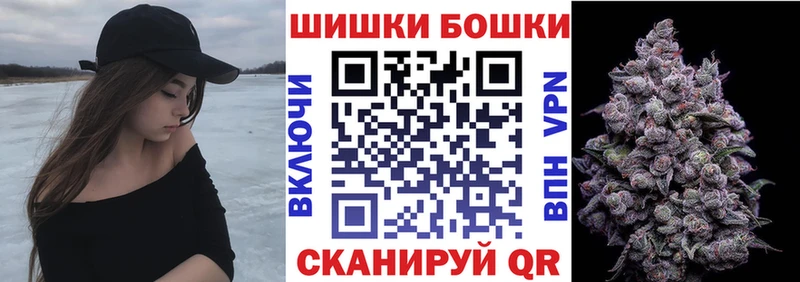 Купить  Сельцо  Бошки Шишки гибрид 